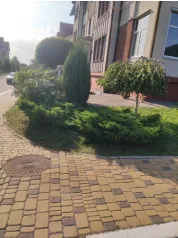 Формирование хвойного сада (После)